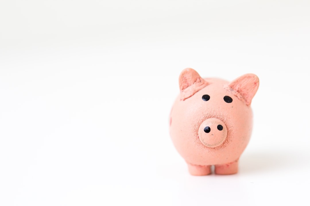 dicas para economizar em Orlando como nunca - Defina um budget realista
